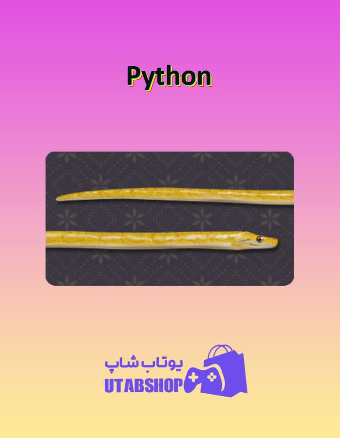 چوب-بیلیارد-Python