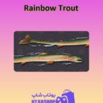 چوب-بیلیارد-Rainbow Trout