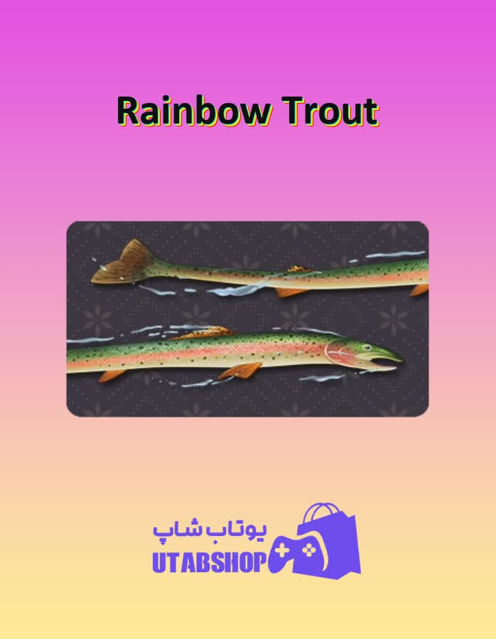 چوب-بیلیارد-Rainbow Trout