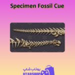 چوب-بیلیارد-Specimen Fossil Cue