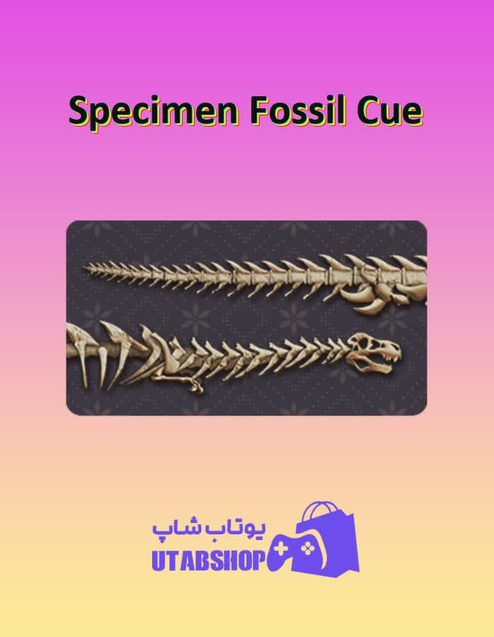 چوب-بیلیارد-Specimen Fossil Cue