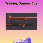 چوب-بیلیارد-Training Dummy Cue