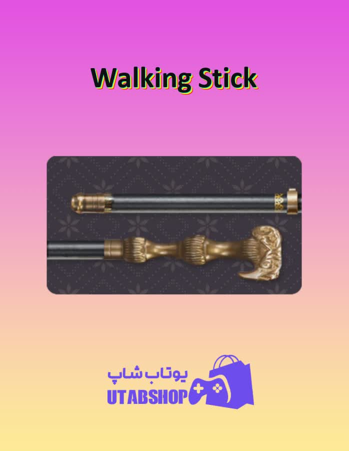 چوب-بیلیارد-Walking Stick