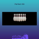 بنر-Perfect-Hit