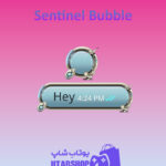 تم-چت-Sentinel-Bubble