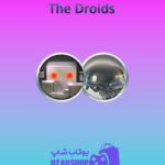 تیم-فوتبال-The-Droids