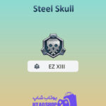 نشان-Steel-Skull