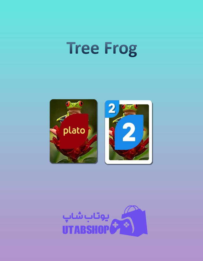 اوچو-Tree-Frog