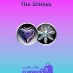 تیم-فوتبال-The-Shinies