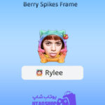 قاب-Berry-Spikes-Frame