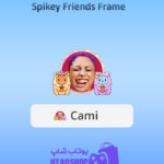 قاب-Spikey-Friends-Frame